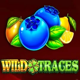 Wild Traces online game logo by Amusnet Interactive on spinfins.gr